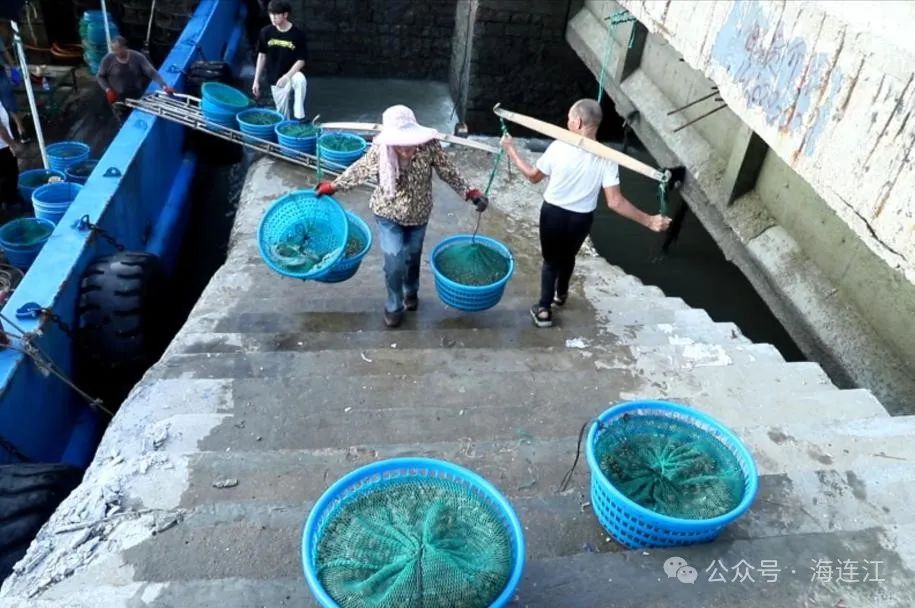 鱼虾满仓！连江“第一网鲜”，来啦！
