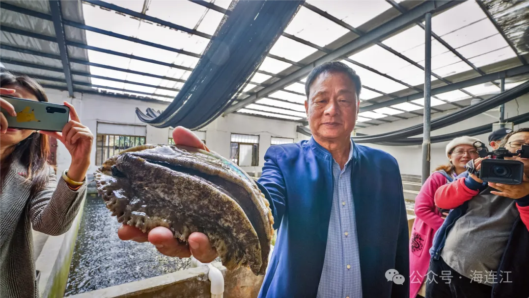 连江“福鲍一号”鲍鱼品种，通过省级验收！