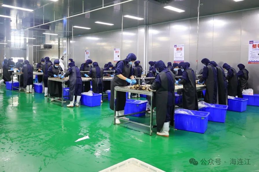 全国销量领先！连江这家企业厉害了！