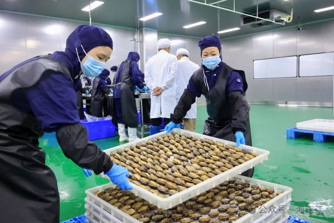 全国销量领先！连江这家企业厉害了！