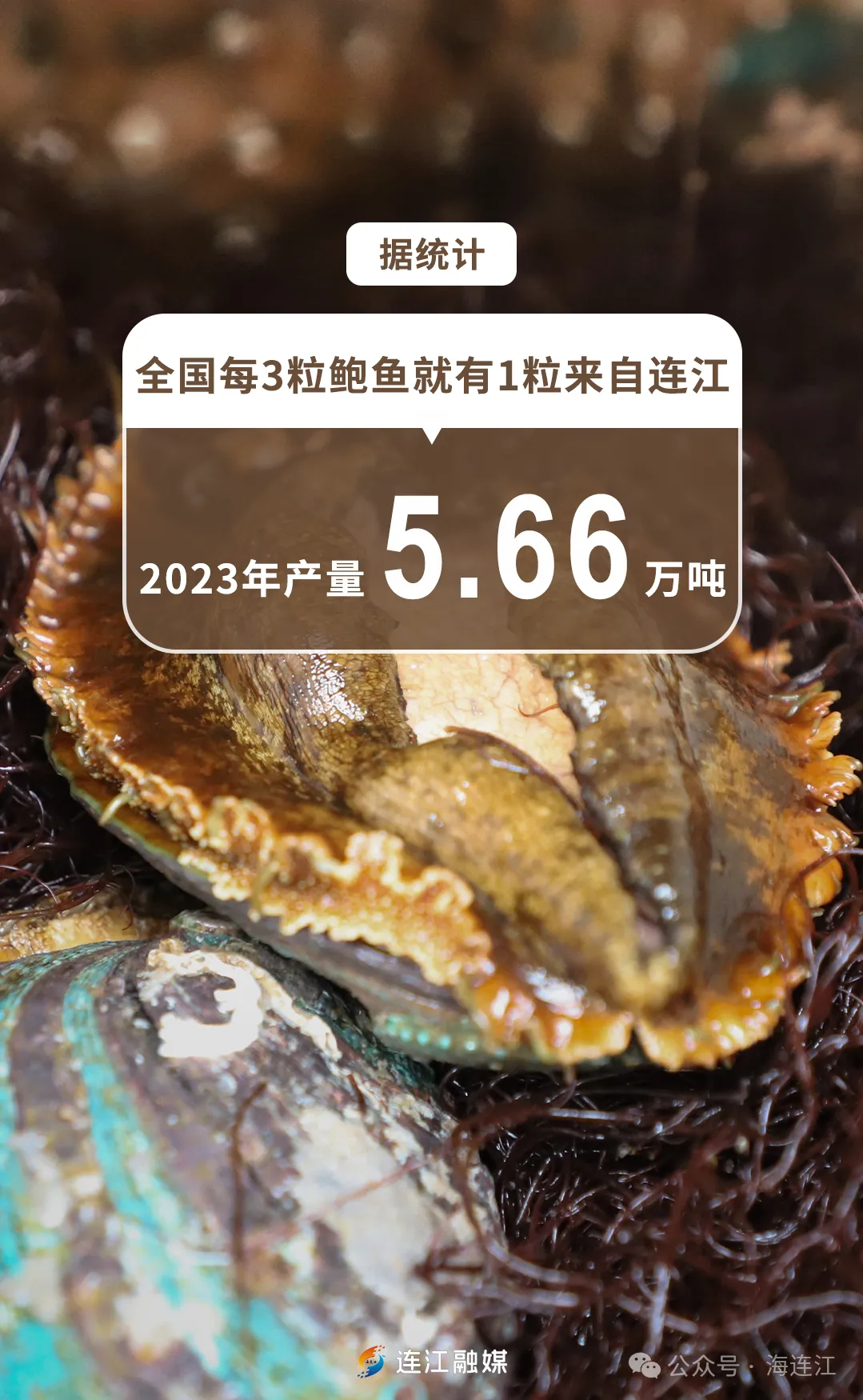 产业兴旺，生态宜居！你好，这里是连江！