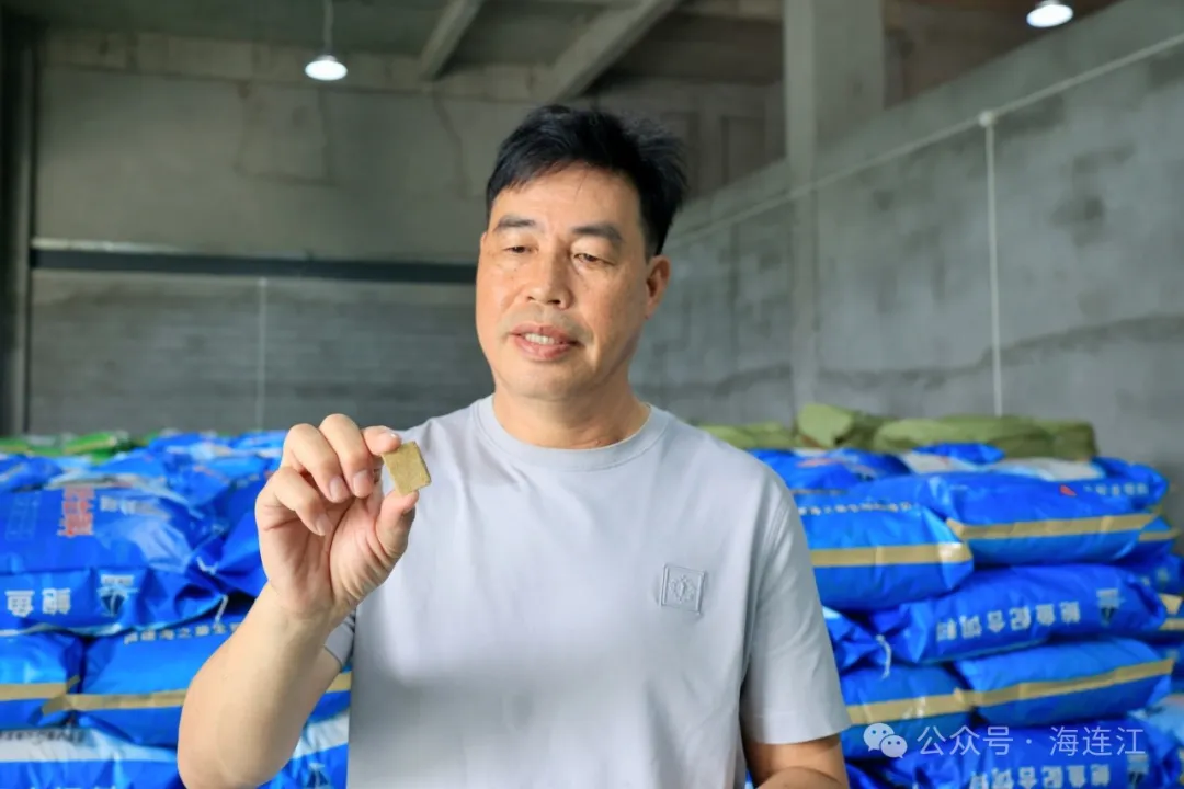 牛！连江鲍鱼吃上“海藻压缩饼干”！