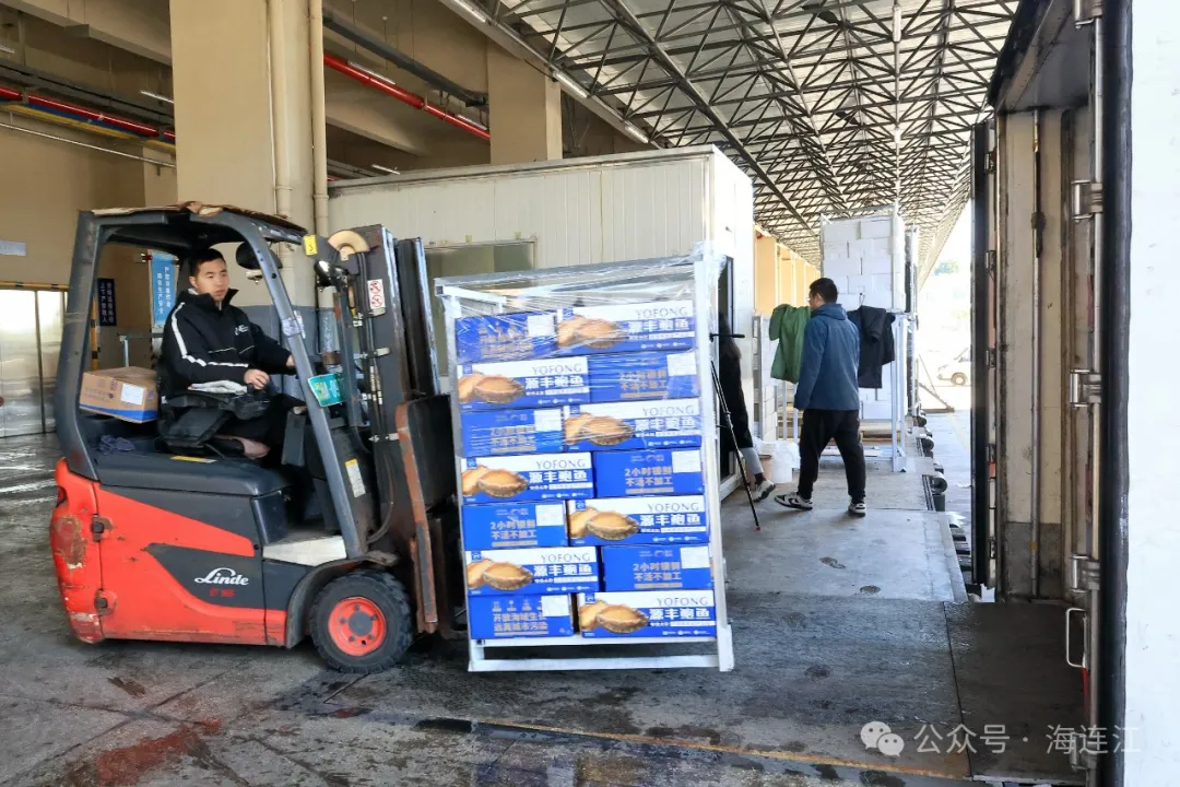 月销20吨！连江“鲍”款走俏海外！