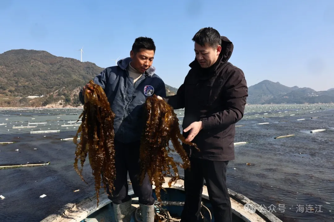 好吃又好卖！连江“抢手货”，开始上市！