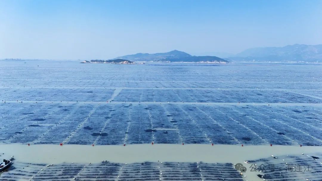 全国首宗！三名案件当事人在连江认购！