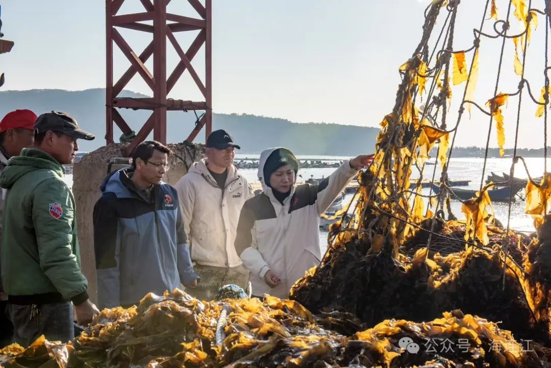 国际订单火热！这家企业开足马力赶制“连江好味”