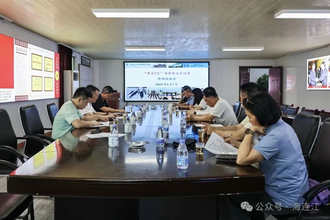 祝贺！连江海带新品系通过验收