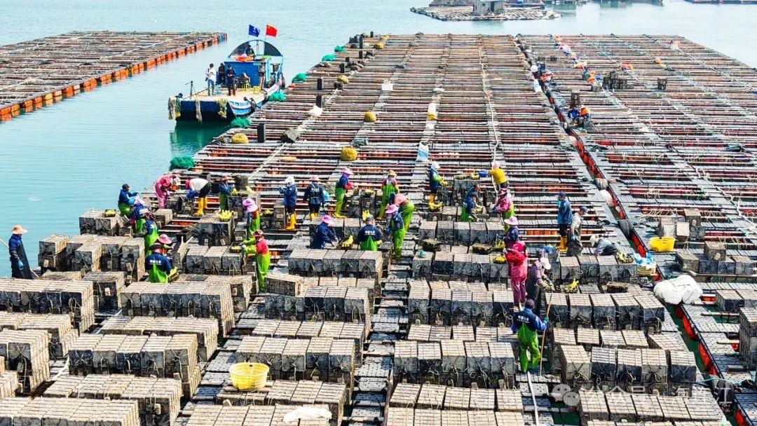 做好“海的文章”！ 连江交出“高分卷”→